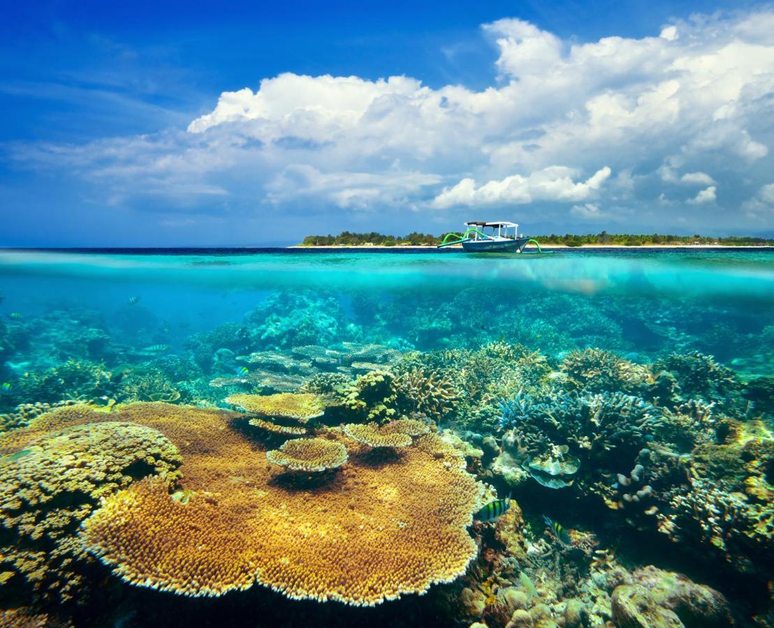 Divine Divers Gili Meno Luaran gambar