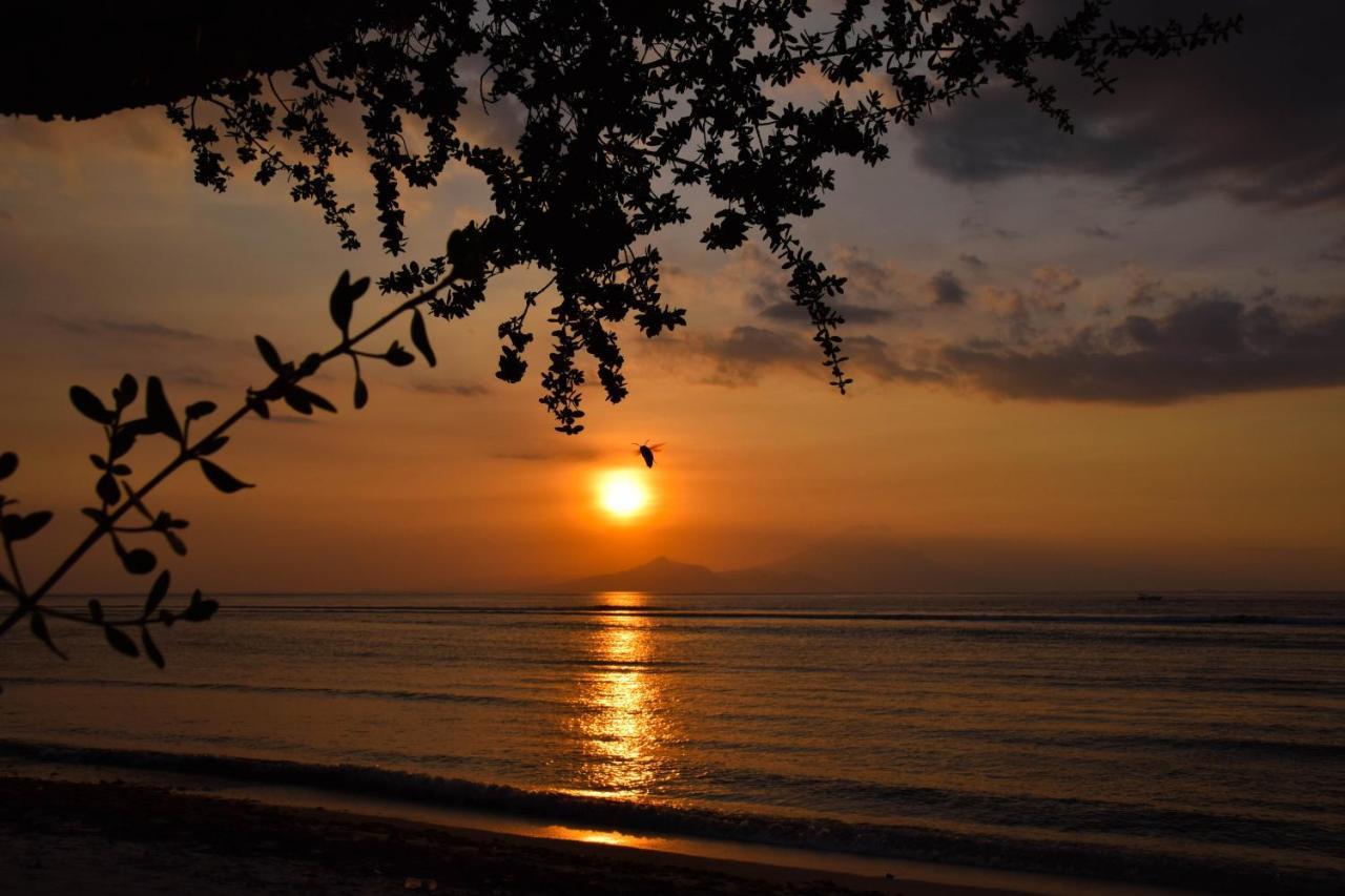 Divine Divers Gili Meno Luaran gambar
